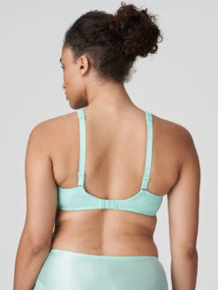 PrimaDonna Twist Epirus Plunge Bra 11 PrimaDonna Twist Epirus Plunge Bra -FOREVER YOUR LINGERIE 0141974PrimaEpirusHalfPaddedPlungeBraMiamiMintBack