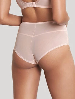 Panache Imogen Hi-Waist Brief 9 Panache Imogen Hi-Waist Brief -FOREVER YOUR LINGERIE 10165HiWaistBriefCameoRoseBack