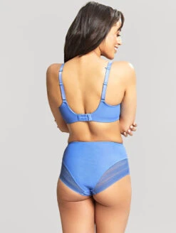 Panache Serene High Waist Brief 8 Panache Serene High Waist Brief -FOREVER YOUR LINGERIE 10305SereneFullCupBra10303SereneHighWaistBriefCornflowerBackEdited 582eeb3e 5693 4d76 a8f9 6b53d496dc70