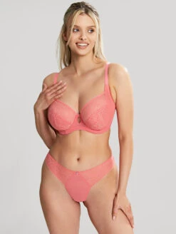 Cleo Alexis Plunge Bra 12 Cleo Alexis Plunge Bra -FOREVER YOUR LINGERIE 10471AlexisBalconnetBra10472BrazilianBriefSunkissCoralFrontEdit 07c0f20d 7e77 4070 a13a 47952440e29f