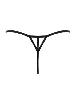 Pour Moi India Embroidery Thong -FOREVER YOUR LINGERIE 20364IndiaBoldEmbroideryThongBlackBackEdited