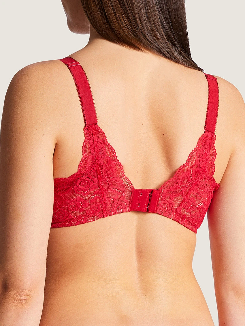 Aubade Rosessence Triangle Full Bust Plunge Bra 4 Aubade Rosessence Triangle Full Bust Plunge Bra - Image 2