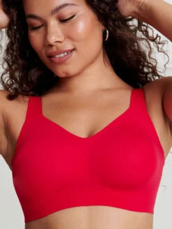 Evelyn & Bobbie Beyond Bra 11 Evelyn & Bobbie Beyond Bra -FOREVER YOUR LINGERIE BeyondBraRubyFront2