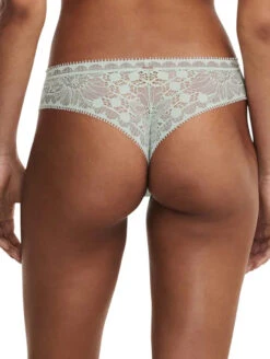 Chantelle Day To Night Thong -FOREVER YOUR LINGERIE ChantelleDayToNightThong15F9GreenLilyBack