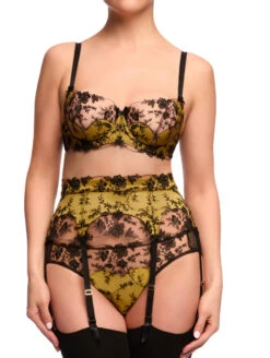 Dita Von Teese Victresse Garter Belt -FOREVER YOUR LINGERIE DitaVonTeeseVictresseFullSetFrontEditedBlackChartreuse 35bcd1f8 422c 41cf a351 2ad1944ef424
