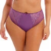 Elomi Charley Hi-Waist Brief -FOREVER YOUR LINGERIE EL4382ElomiCharleyPlungeBraEL4386ElomiCharleyHighLegBriefPansyFrontEditedALT