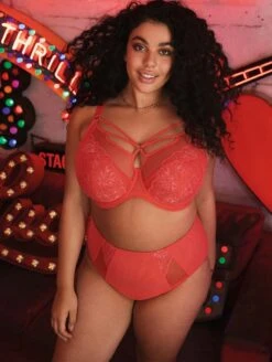 Elomi Brianna Strappy Plunge Bra 7 Elomi Brianna Strappy Plunge Bra -FOREVER YOUR LINGERIE ElomiBriannaPlungeBraEL8080FullBriefEL8085CayenneFront