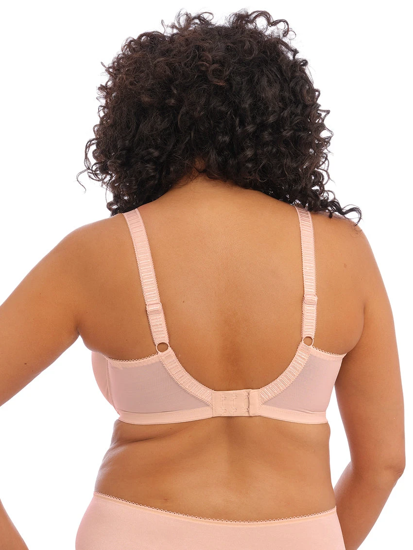 Elomi Cate Bra 4 Elomi Cate Bra - Image 2