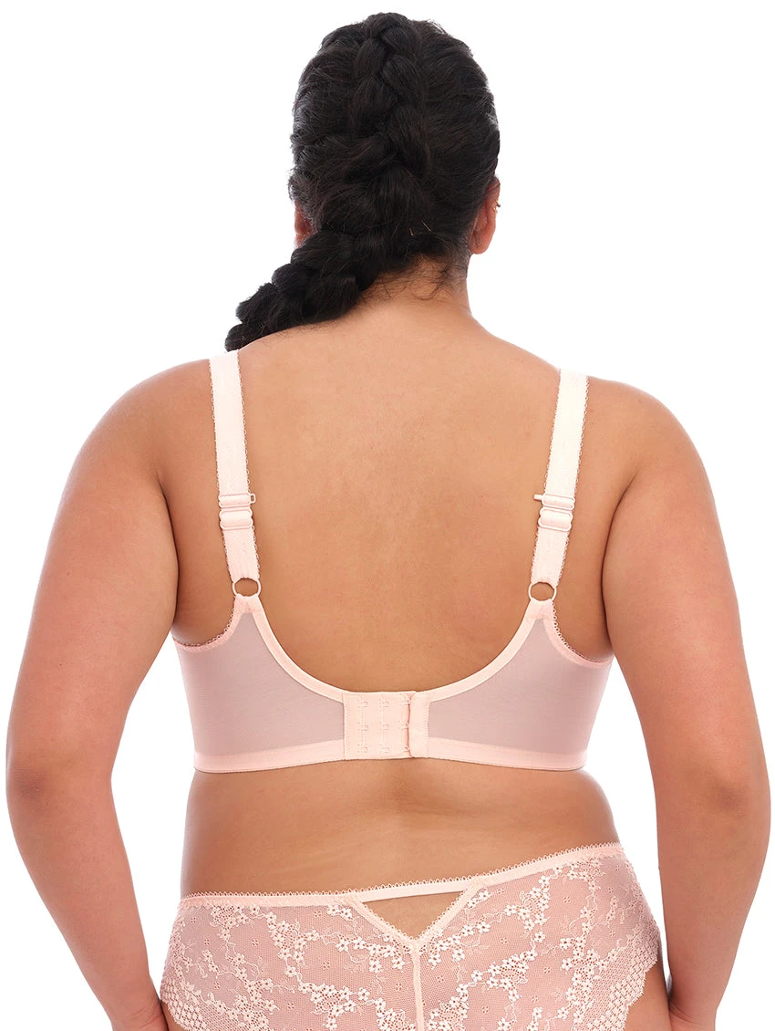 Elomi Charley Lace Plunge Bra 4 Elomi Charley Lace Plunge Bra - Image 2