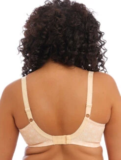 Elomi Kim Plunge Bra 8 Elomi Kim Plunge Bra -FOREVER YOUR LINGERIE ElomiKimCaramelEL4340Back