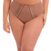 Elomi Matilda Full Brief -FOREVER YOUR LINGERIE ElomiMatildaFullBriefEL8906CloveFront