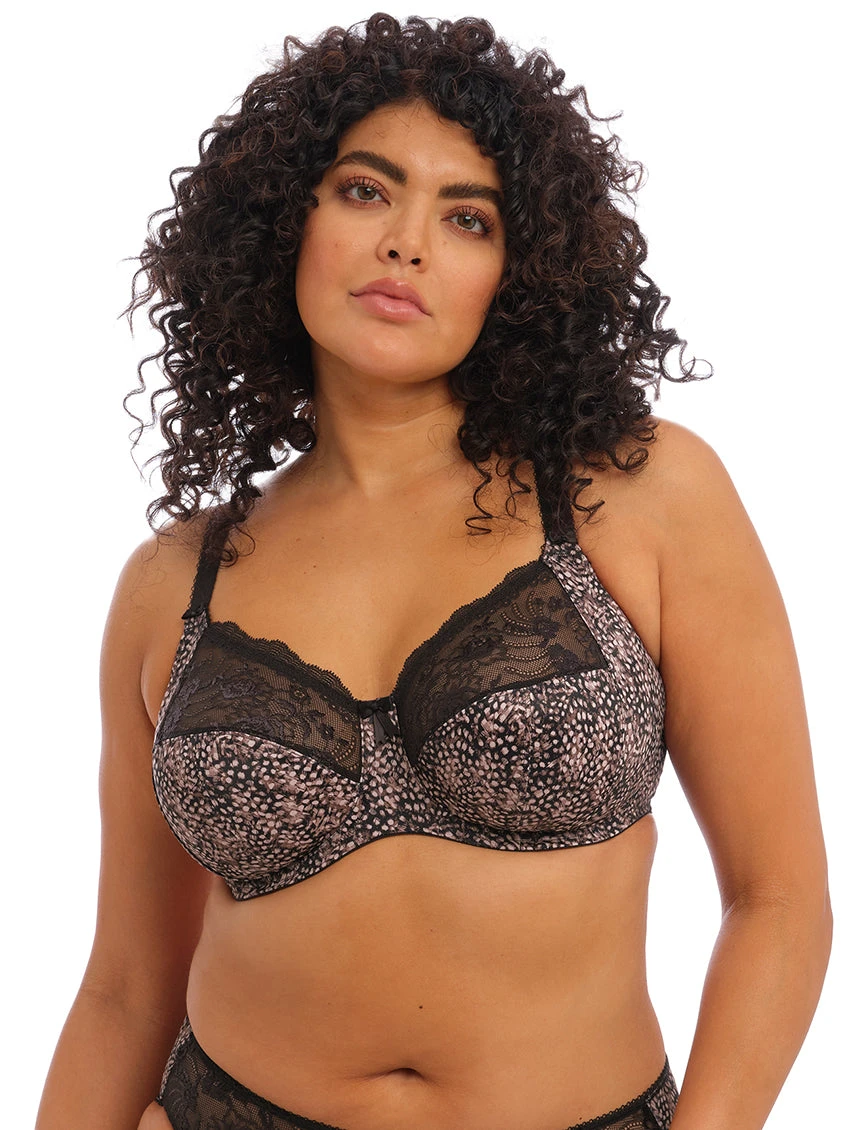 Elomi Morgan Bra 6 Elomi Morgan Bra - Image 4