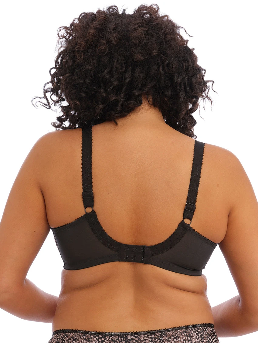 Elomi Morgan Bra 7 Elomi Morgan Bra - Image 5