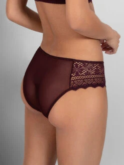 Empreinte Cassiopee Brief -FOREVER YOUR LINGERIE EmpreinteCassiopeeBrief03151HennaBack
