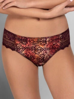 Empreinte Cassiopee Brief