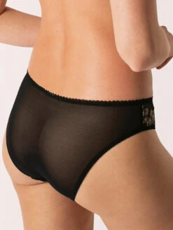 Empreinte Swan Brief 8 Empreinte Swan Brief -FOREVER YOUR LINGERIE EmpreinteSwanBrief03210BlackBack