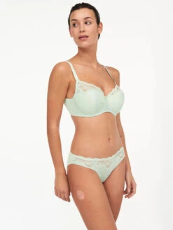 Femilet Marylin Padded Demi Bra -FOREVER YOUR LINGERIE FemiletMarylinPaddedDemiBra9376Brief9373GreenLily