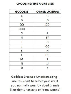 Goddess Bridget Bra 9 Goddess Bridget Bra -FOREVER YOUR LINGERIE Goddess Bridget Bra S 4