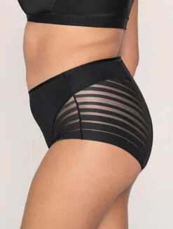 Leonisa Lace Stripe Shaper Panty -FOREVER YOUR LINGERIE LeonisaLaceStripeShaperPantyBlack012903SidePlus