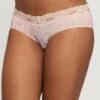 Montelle Hipster 2 Montelle Hipster -FOREVER YOUR LINGERIE MontelleHipster9003FlowerFieldFront