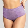 Panache Envy Deep Brief 2 Panache Envy Deep Brief -FOREVER YOUR LINGERIE PanacheEnvyDeepBriefViolet7283Front