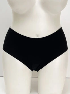 Panty Promise High Waist Hipster