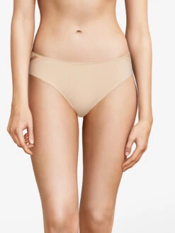 Passionata Dream Today Brief