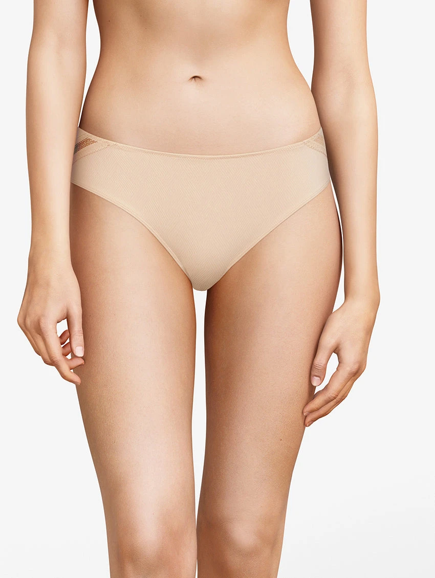 Passionata Dream Today Brief 3 Passionata Dream Today Brief